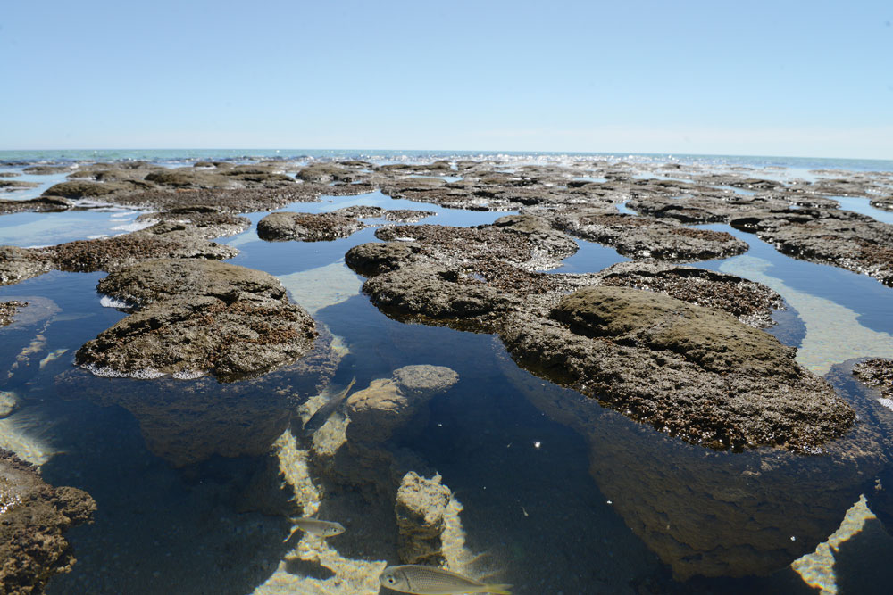Water with corral structures