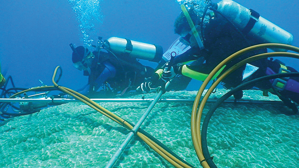 Two divers inspecting the corral reef